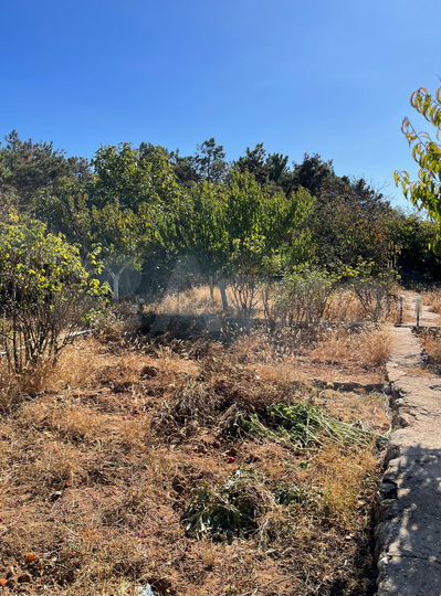 Участок 6,3 сот. (СНТ, ДНП)