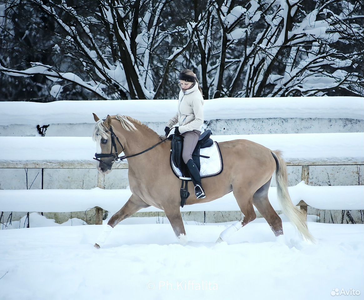 1.S0bWPra456_giWWizEdHLJyf5alon2W54JLlrWaX76Vg.dWkauFEMVDfCXNT98mxipq8Sgp6yR283EIWWLd3GcZM