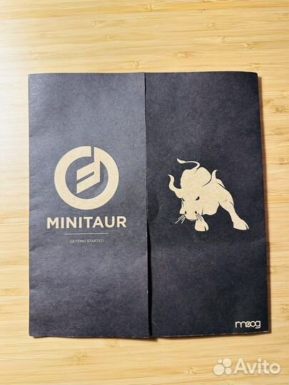 Moog minitaur