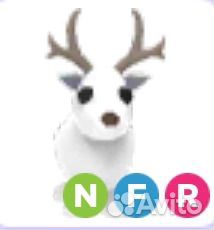 Нфр арктик олень