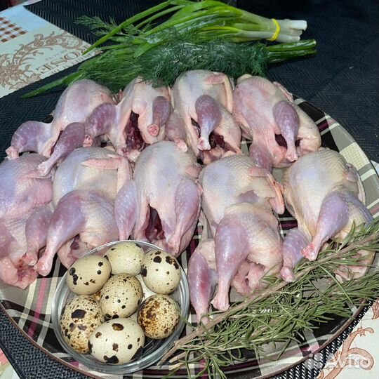 Яйцо перепела