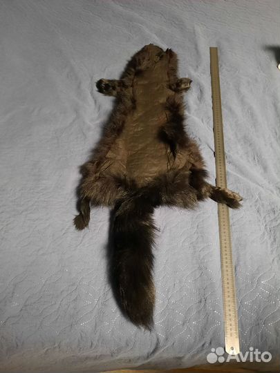 Шкурки животных