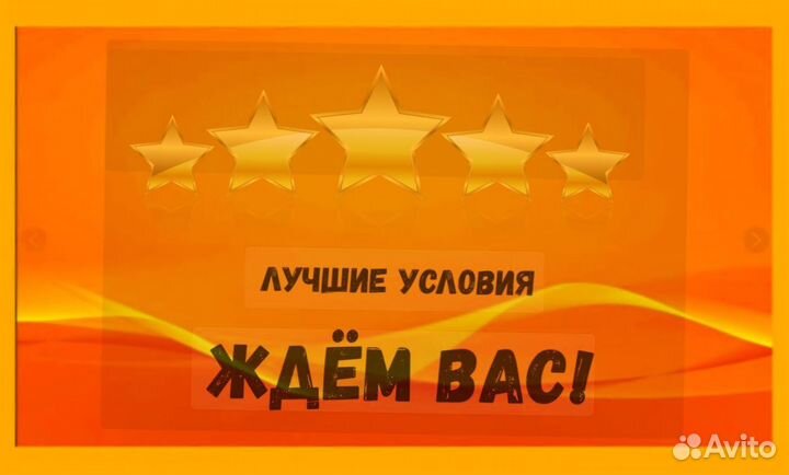 Наборщик заказов Без опыта Еженедельные выплаты