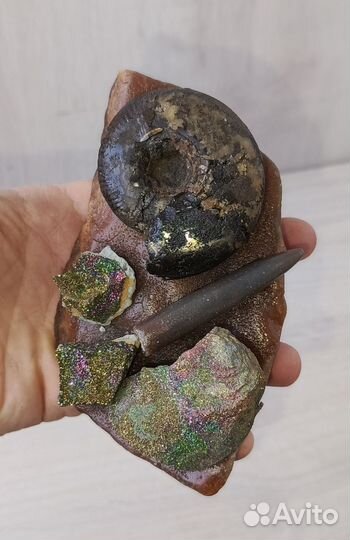 Композиция на симбирците 5 