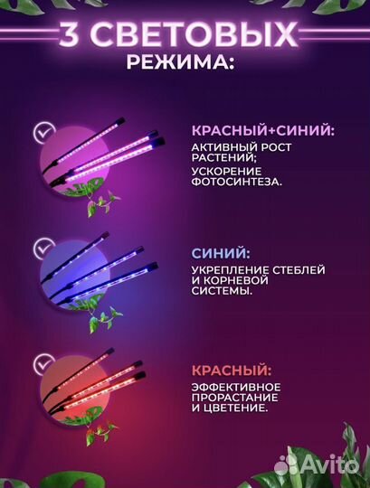 Фитолампа для растений