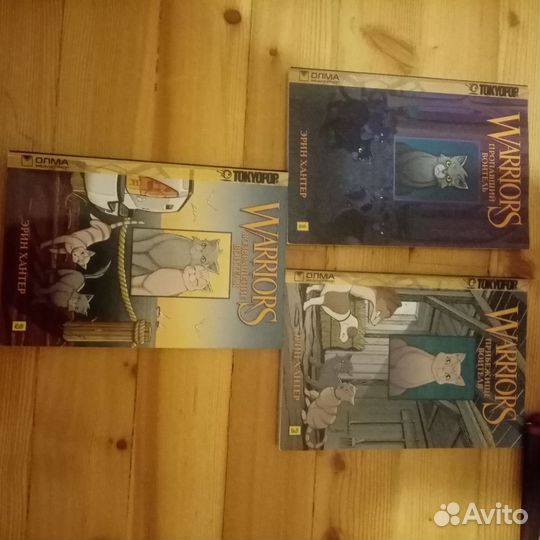 Коты водители манга