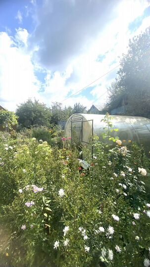 Дом 50 м² на участке 4,3 сот.