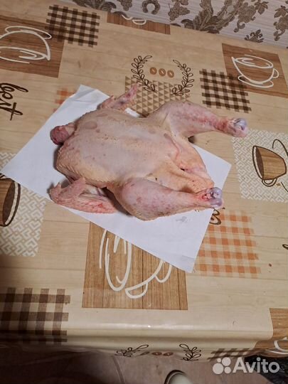 Тушка бройлера