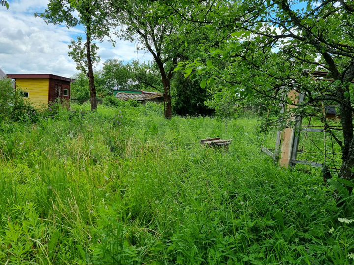 Участок 6 сот. (СНТ, ДНП)