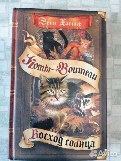 Книги коты воители(описание)