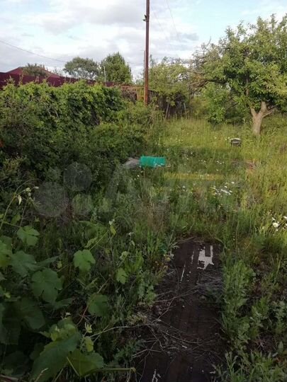 Участок 9 сот. (СНТ, ДНП)