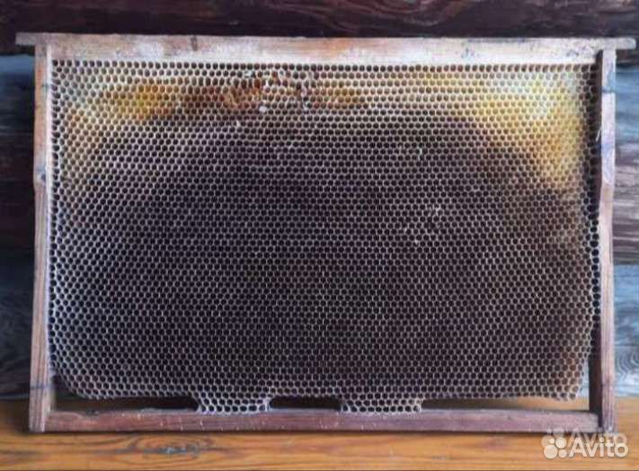 Сушь для пчел