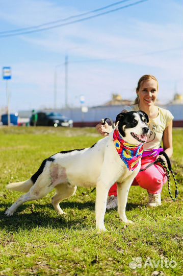 Черно-белый Оуэн