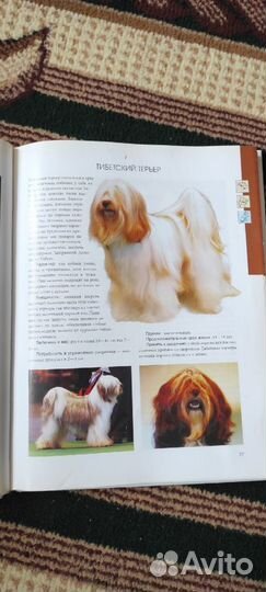 Собака. Ваш лучший друг. Альбом-энциклопедия