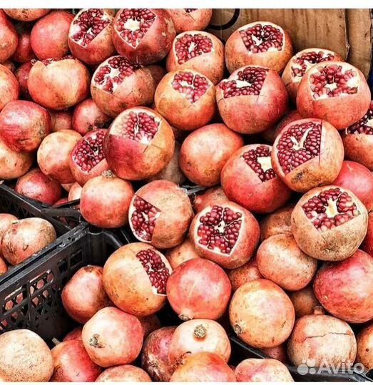 Киви, бананы, яблоки, фрукты, овощи для животных