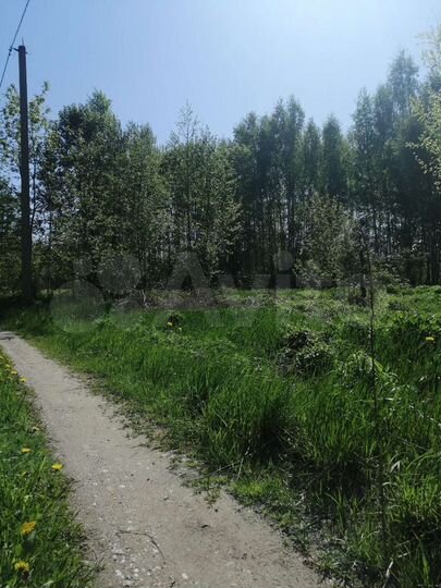 Участок 24 сот. (ИЖС)