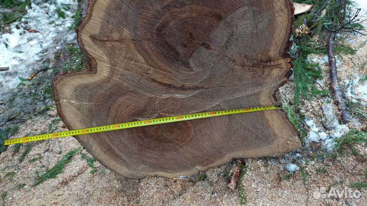 Слэб дерева и спилы