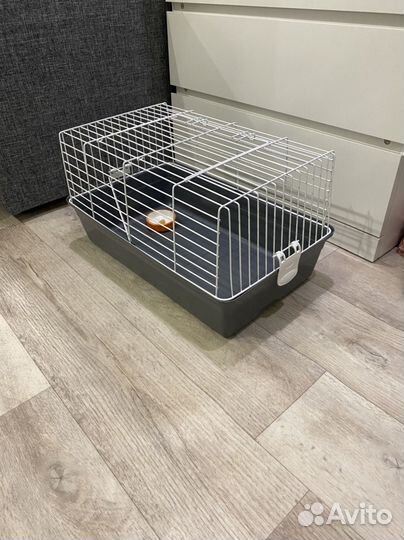Клетка для морской свинки