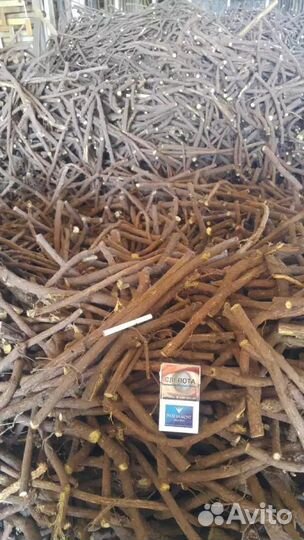 Корень солодки