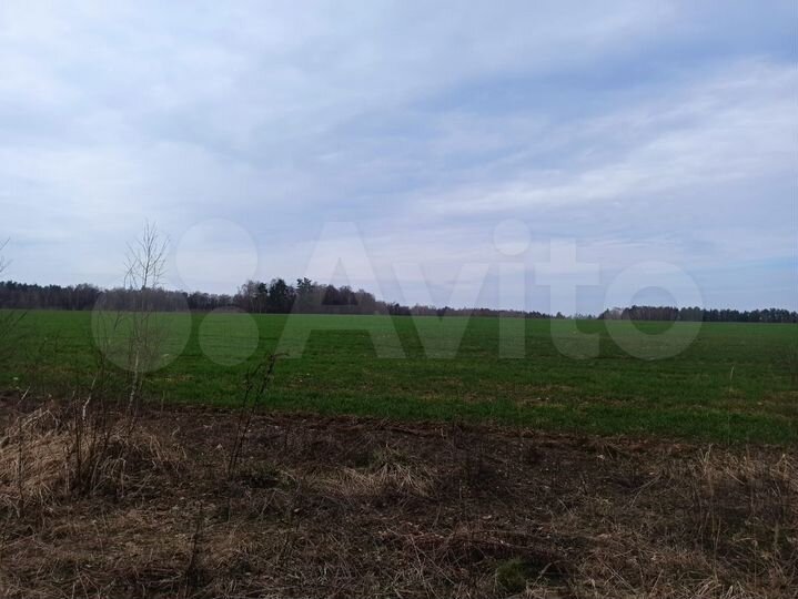 Участок 554 га (СНТ, ДНП)