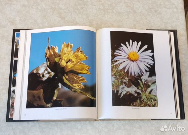 Альбомы и книги по искусству