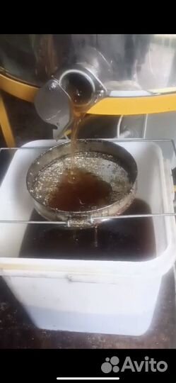 Свежий мед 2023