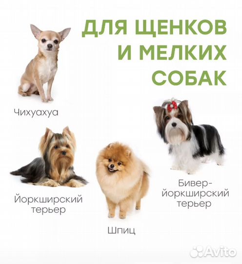 Лоток для собак
