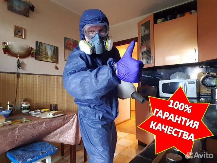 Уничтожение насекомых, грызунов, вирусов, запаха