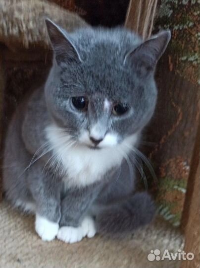 Меня пнули ботинком