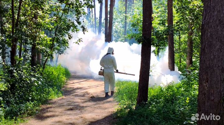 Уничтожение тараканов клопов запахи