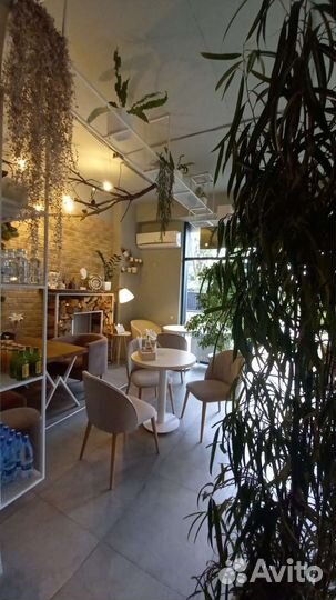 Кофейня 40м²