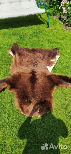 Шкура медведя имитация