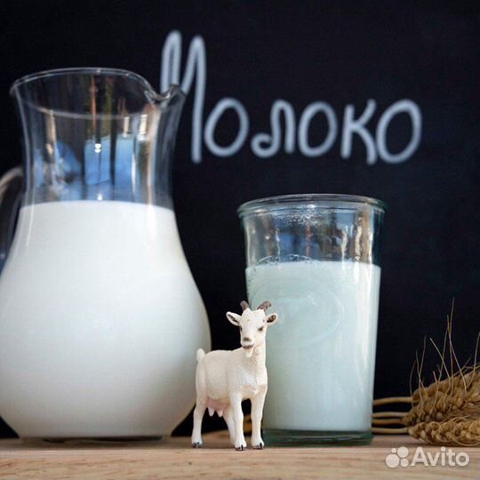 Молоко козье, творог и мясо кролика домашнее