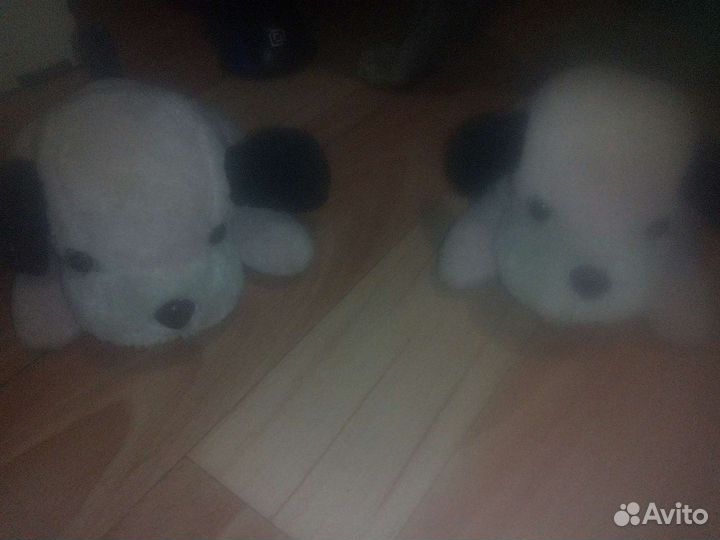 Миска,намордник(ошейник) для собаки