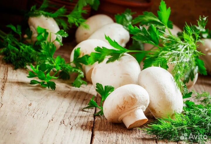 Грибы свежие шампиньоны