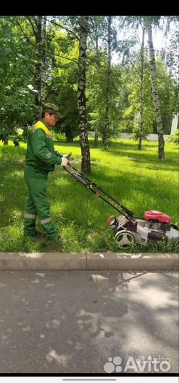 Дворник жкх