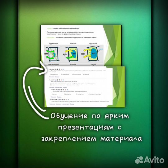 Репетитор по биологии ОГЭ, ЕГЭ