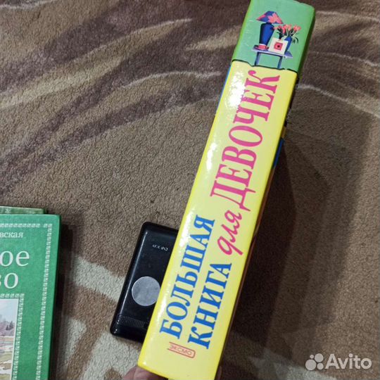 Большая книга для девочек