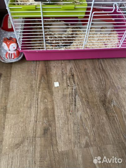 Клетка для грызунов с хомяком