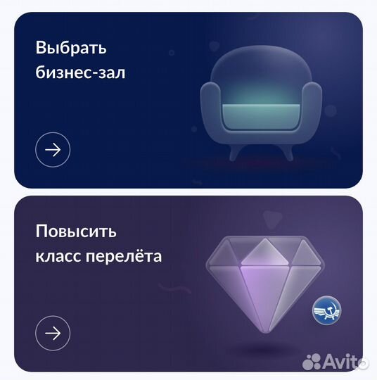 Проход в бизнес зал аэропорта