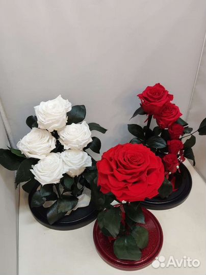 Роза в колбе оптом