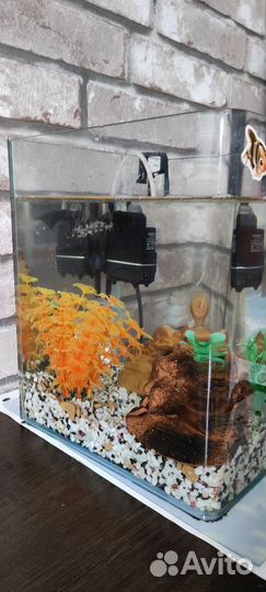 Аквариум 18 л. с наполнением и 2-мя сомиками