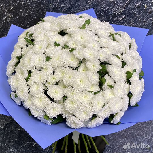 Букет из белых хризантем сантини 9 шт