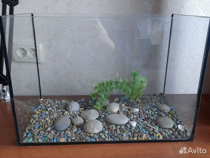 Аквариум