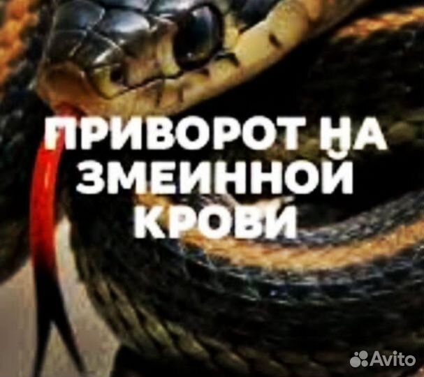 Гадание приворот обучение