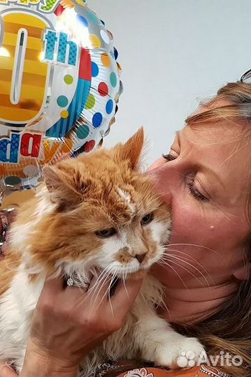 Усыпление домашних животных. Кремация