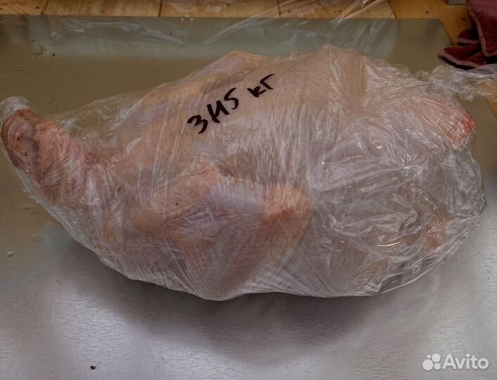 Мясо домашнего цыпленка бройлера