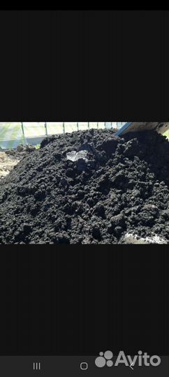 Сапропель (удобрение)