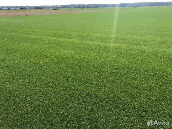 Рулонный газон /продажа/укладка