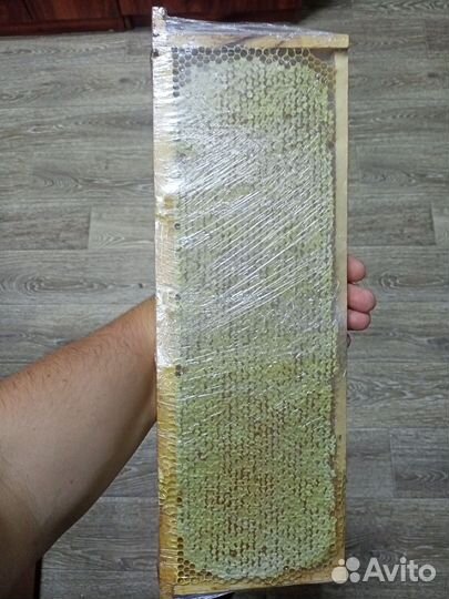 Мёд Донника